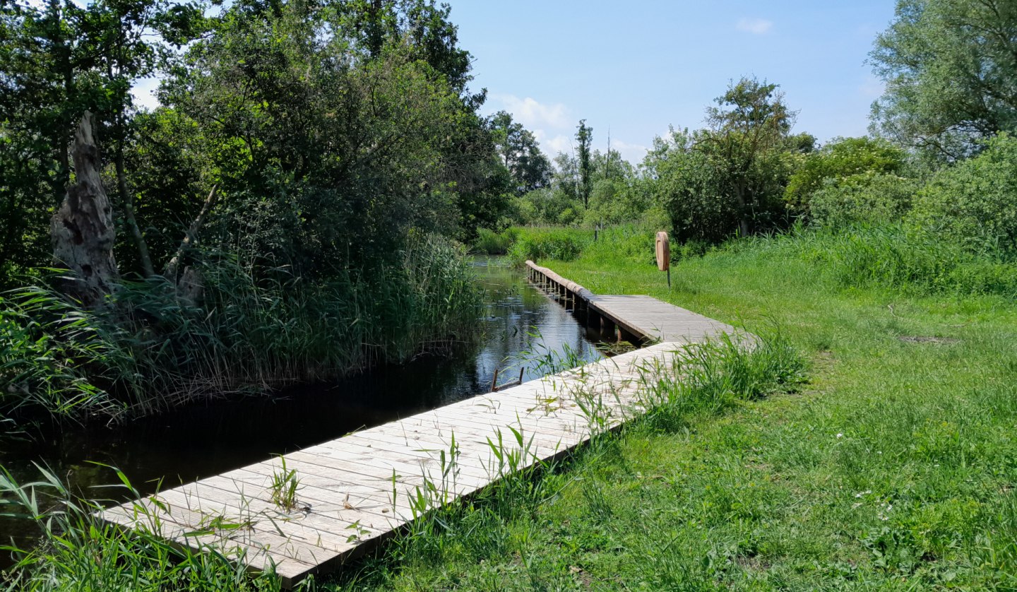 Wasserwanderrastplatz Pantlitz, © Tourismusverein Vogelparkregion Recknitztal e.V.