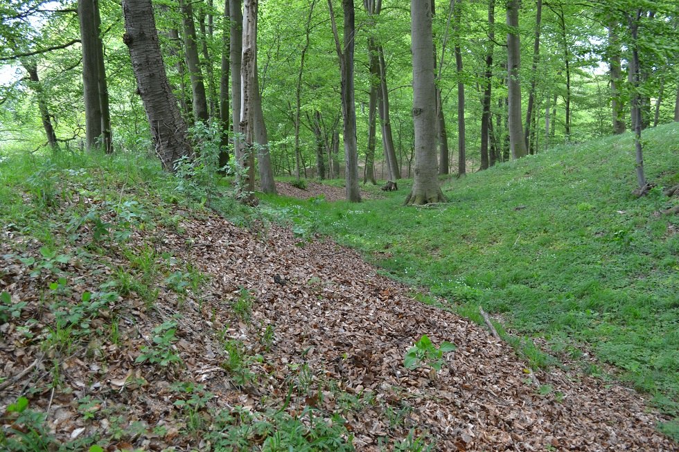 In der Wallanlage mit Blick zum "Eingang"., © Lutz Werner