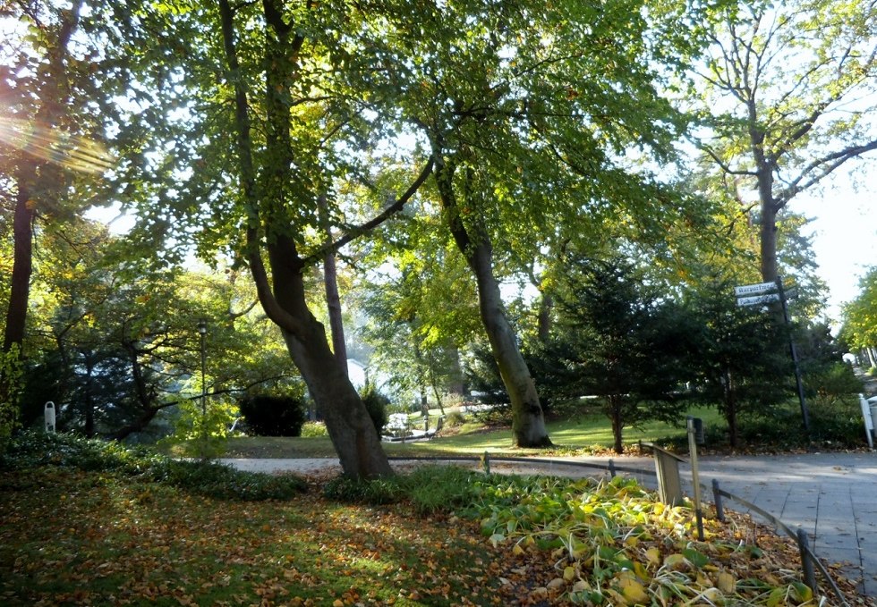 Der Kurpark im Ostseebad Binz., © Tourismuszentrale Rügen