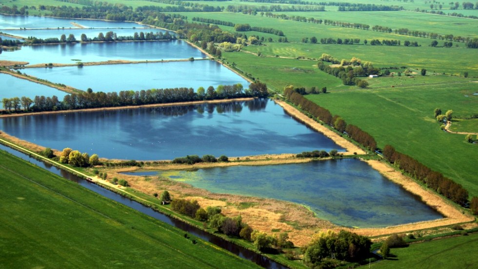 Die Fischteiche der Lewitz aus der Vogelperspektive., © Tourismusverband Mecklenburg-Schwerin e.V. / Ralf Ottmann