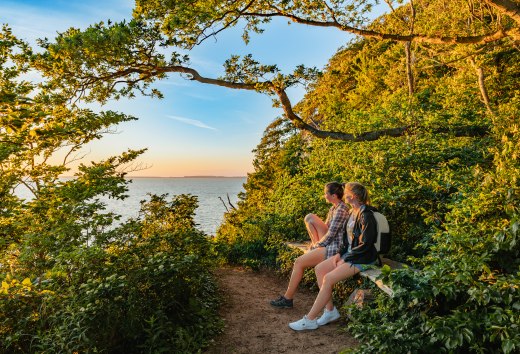 Sollte unbedingt einen Zwischenstopp an der Steilküste von Lietzow einplanen. Die Aussicht über den Bodden im Licht der untergehenden Sonne ist sagenhaft., © TMV/Tiemann