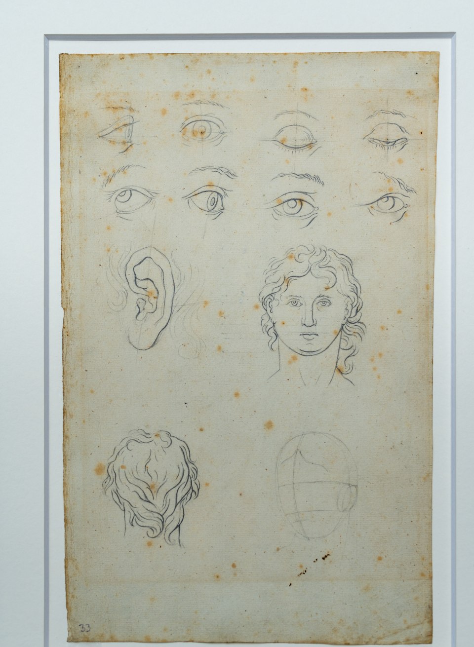 Einige von Caspar David Friedrichs Jugendzeichnungen werden im Pommerschen Landesmuseum aufbewahrt., © TMV/Tiemann