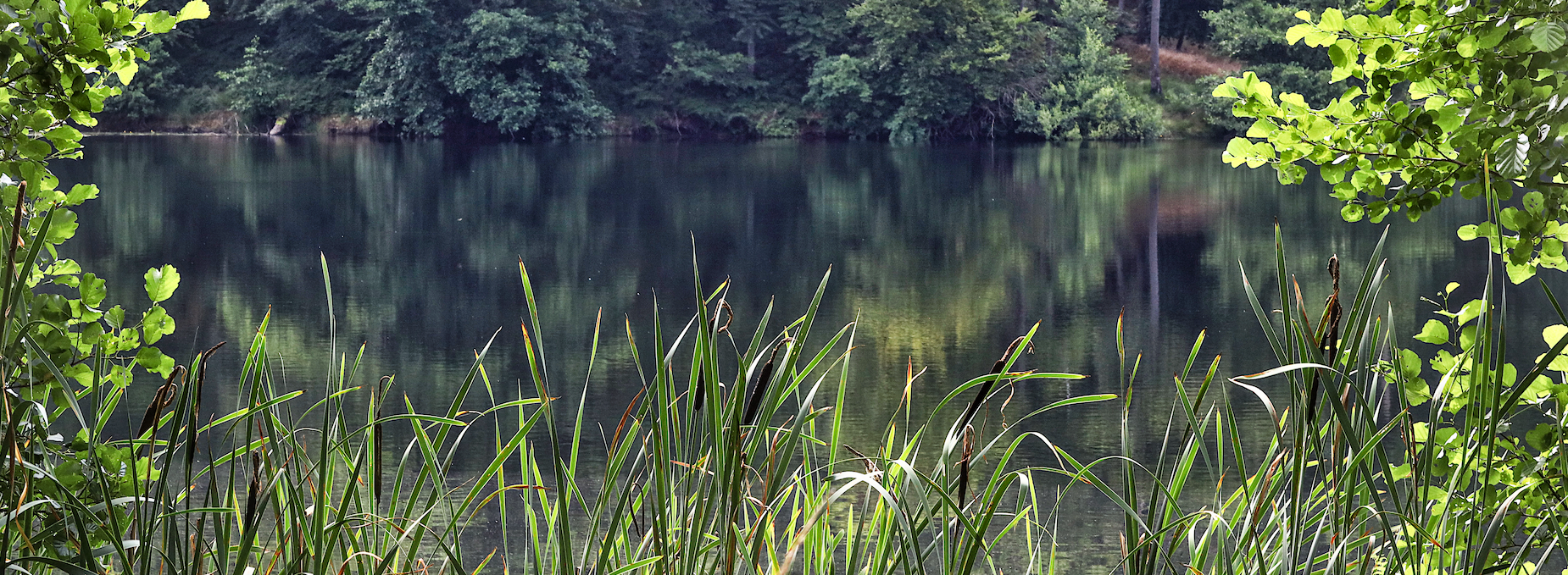 schwarzer-see-in-der-granitz_2, © TMV/Gohlke