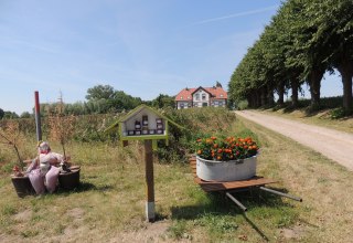 Blick auf die Zufahrt nach Einhusen, © Kurverwaltung Insel Poel