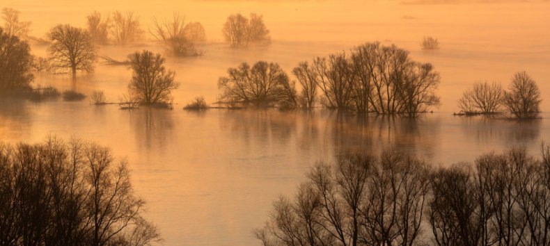 Elbaue bei Boizenburg, © Dirk Eisermann