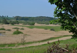 Blick in das Recknitztal, © Lutz Werner