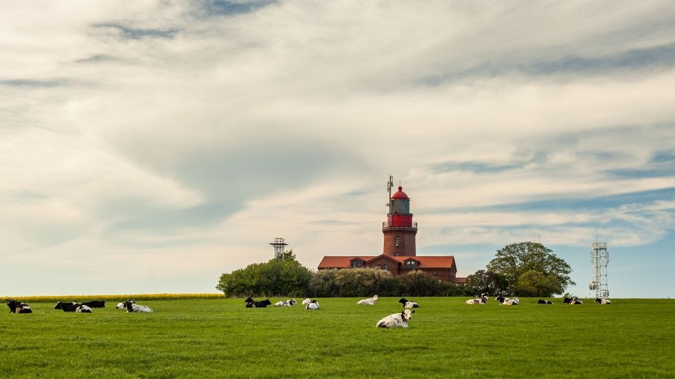 Bastorfer Leuchtturm mit Kühen, © VMO, Alexander Rudolph