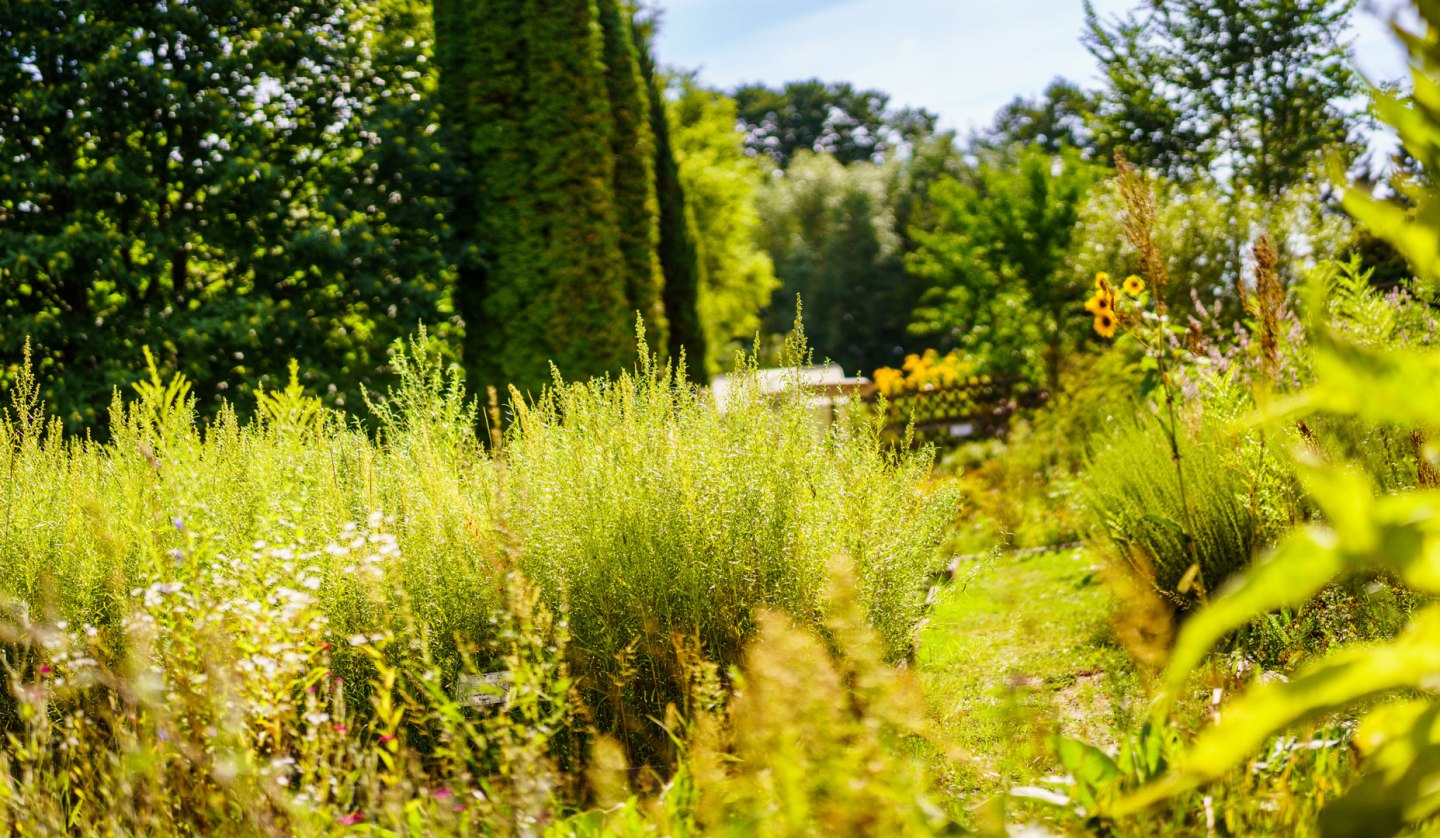 Klosterkräutergarten Himmelpfort, © André Wirsig