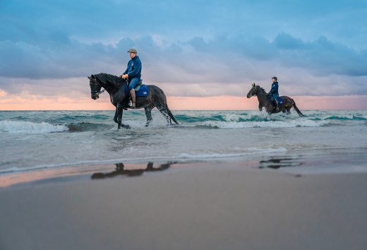 Strandreiten zum Sonnenuntergang an der Ostsee auf der Halbinsel Fischland-Darß-Zingst, © TMV/Tiemann