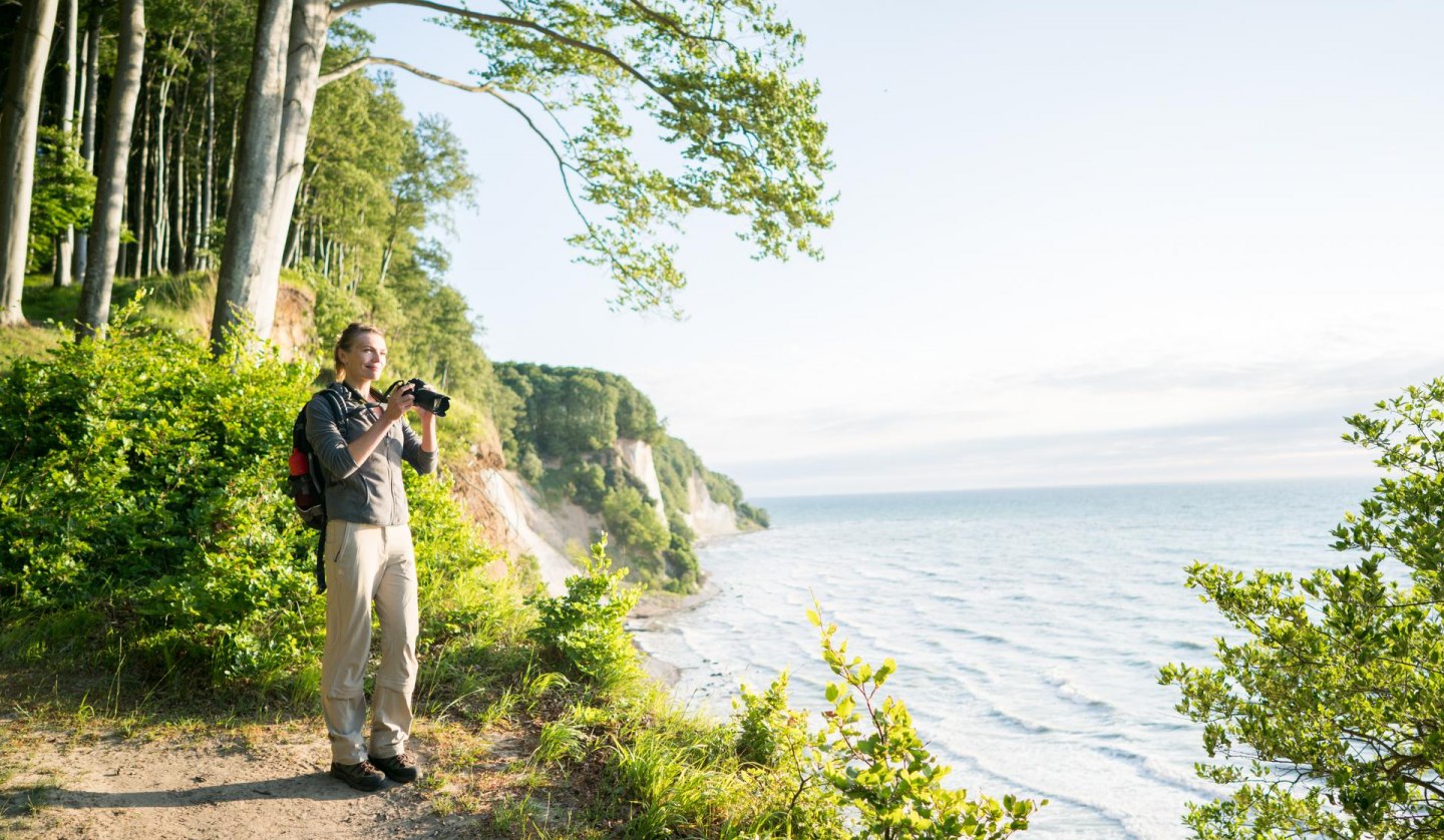 Im Einklang mit der Natur: Entdeckungsreise entlang des Hochuferwegs im majestätischen Nationalpark Jasmund, umgeben von den imposanten Kreidefelsen., © TMV/Roth