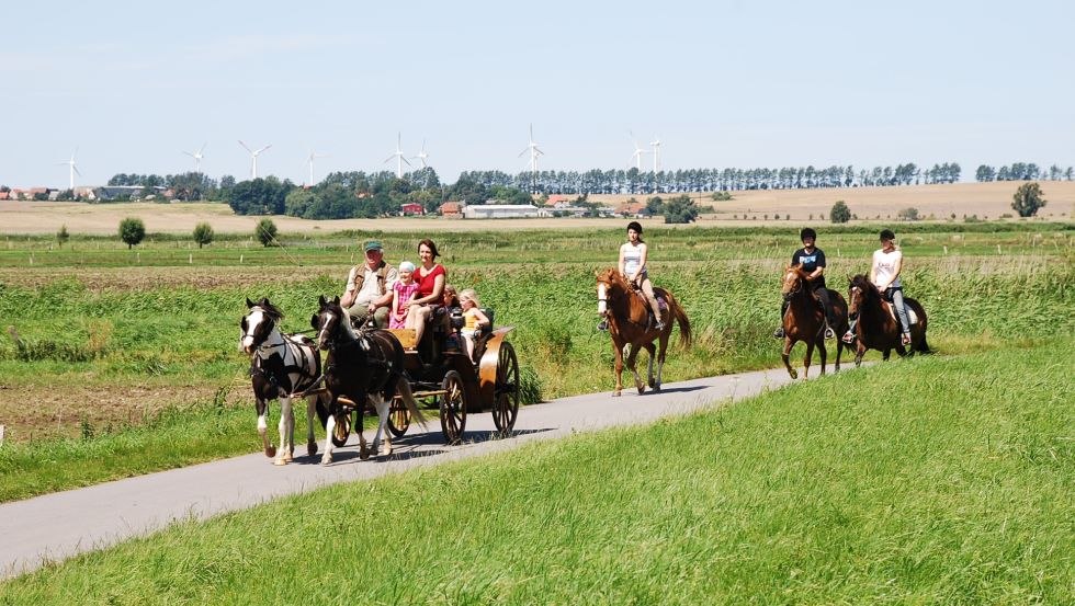 Auf dem Hof Thomsen in Groß Kordshagen können Sie reiten und Kutsche fahren., © Hof Thomsen