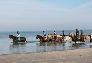 Ausritt an Bodden und Ostseeküste, © Reit- und Feriencamp Illner