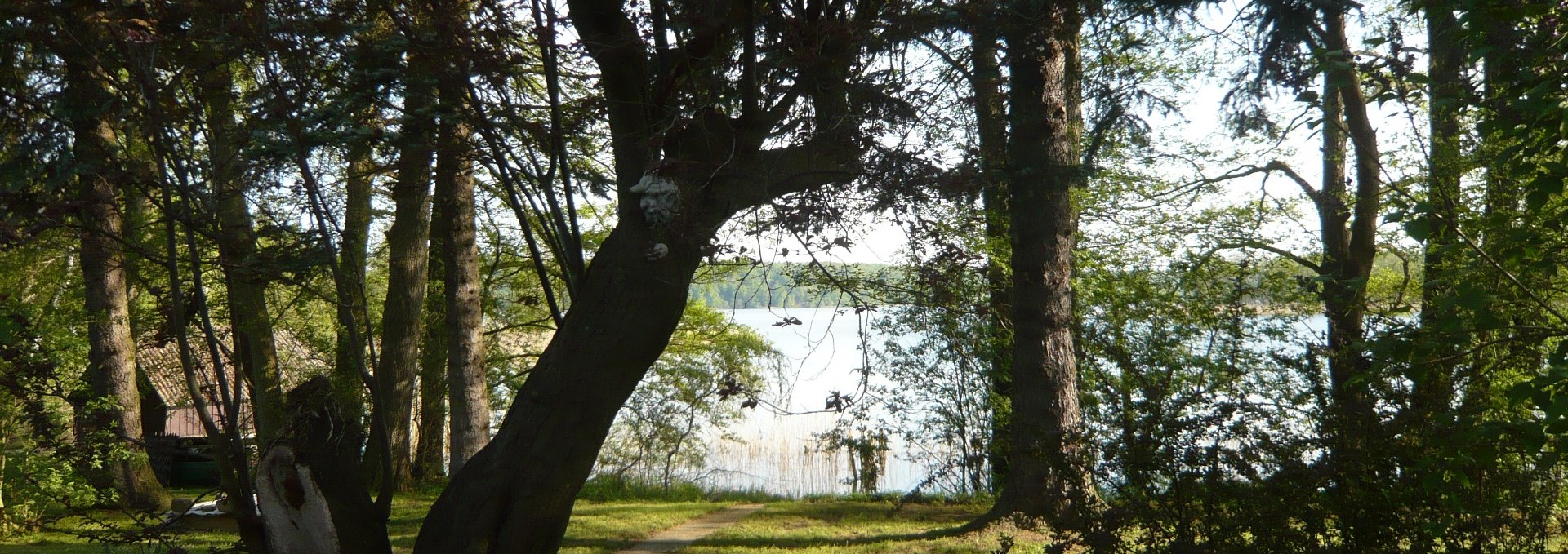 Die Sicht auf den See mit Bootshaus im Hintergrund, © P. Kohlmann