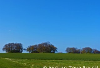 Blick auf die Hügelgräber "Woorker Berge", © Archäo Tour Rügen