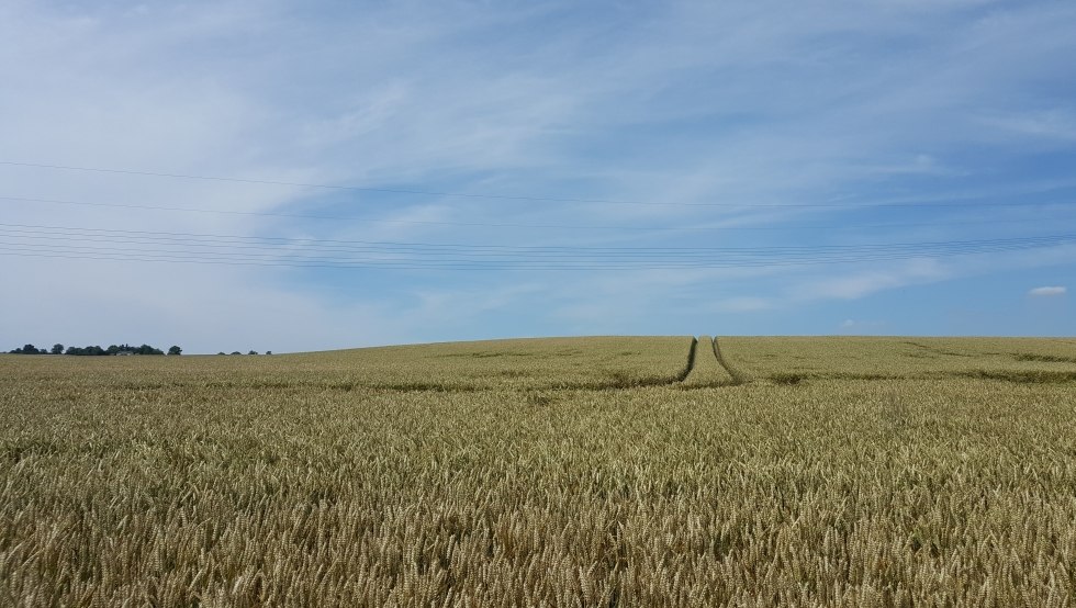 Wege bis zum Horizont, © TMV/UB