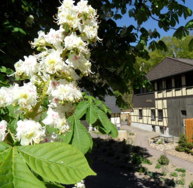 Dat Waldhus  im Frühling, © Steffen Tepasse