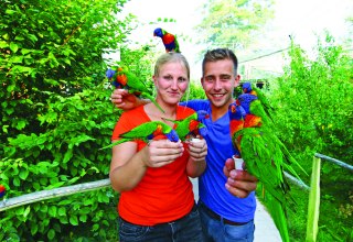 Besucher können die australischen Loris füttern, © Vogelpark Marlow/Zöger