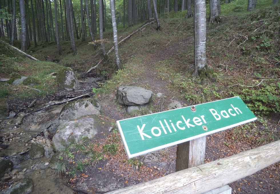 Kollicker Bach im Nationalpark Jasmund, © Tourismuszentrale Rügen