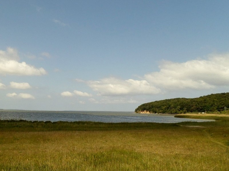 Blick auf den Großen Jasmunder Bodden, © H. Seelenbinder