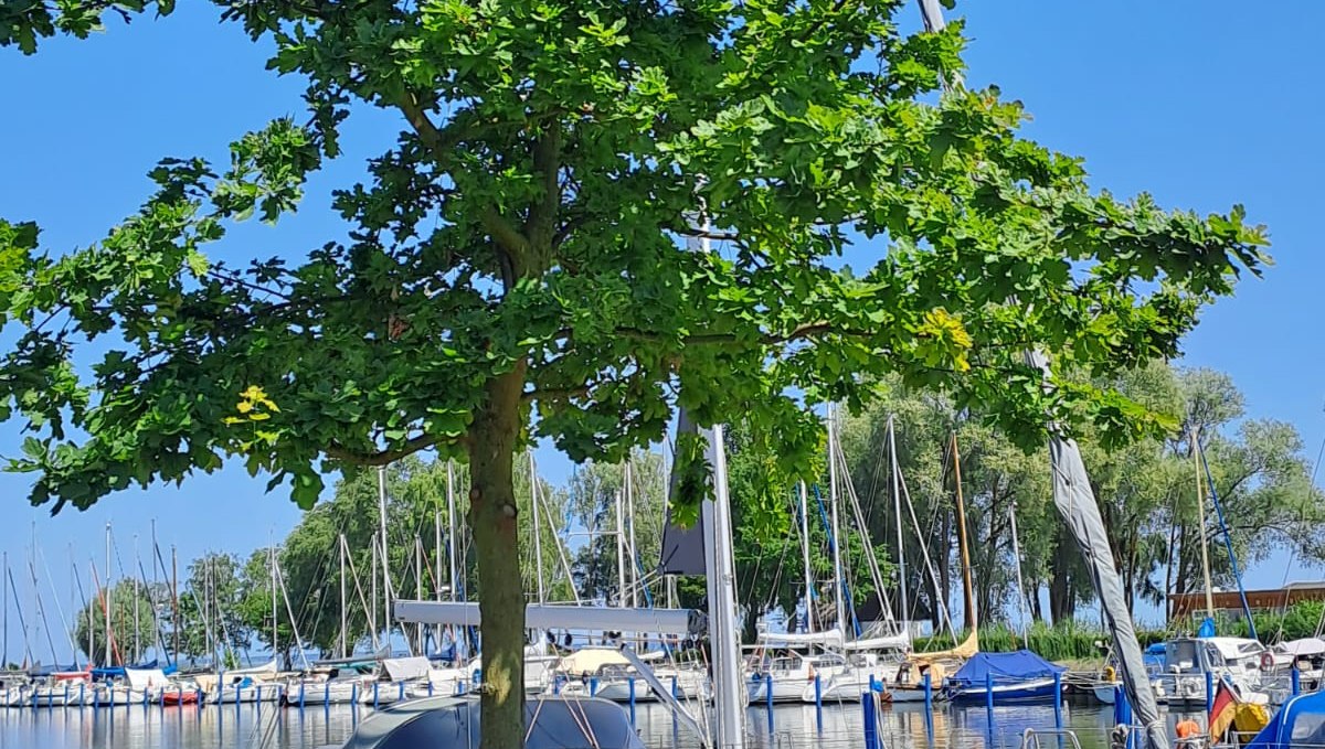 Yachthafen, © Tourismusbetrieb Mönkebude BgA