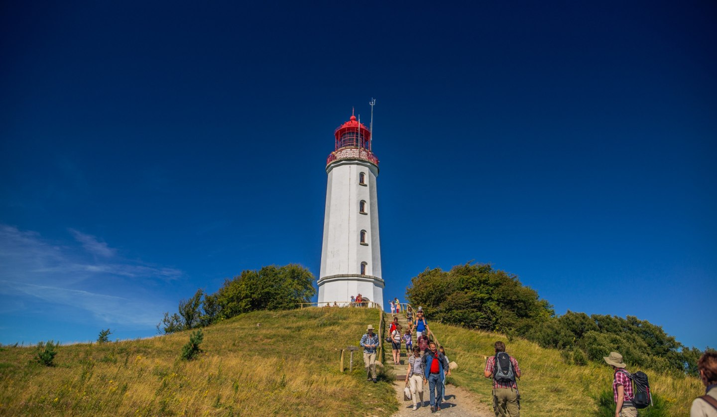 Bus-Rundfahrt: Insel Hiddensee, © Binzer Bucht Tourismus | Ch. Thiele