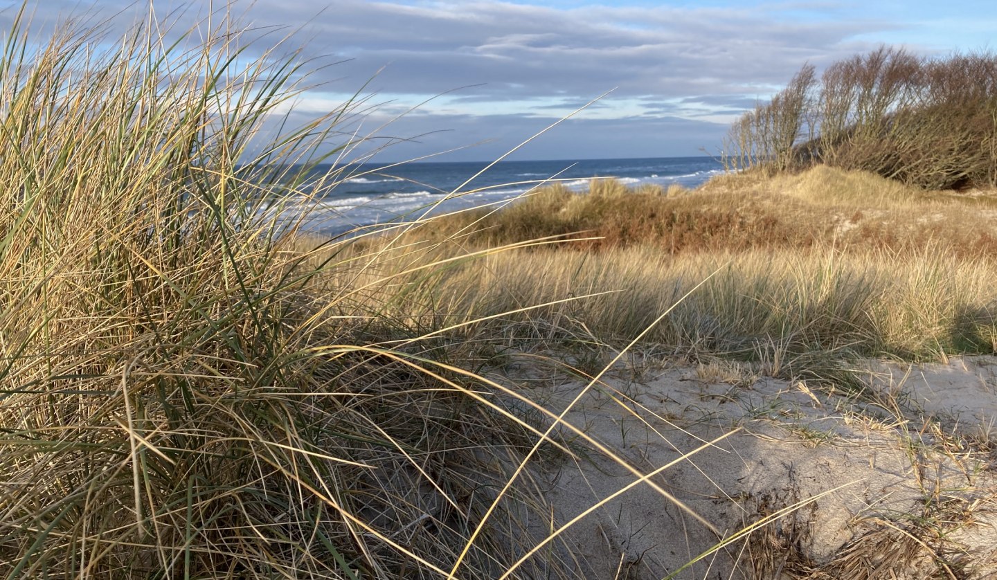 Weststrand Winter, © Katrin Bärwald