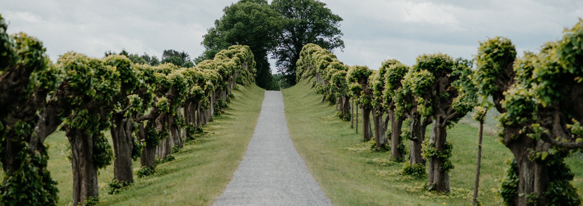 Feston-Allee vor dem Schloss Bothmer, © Fotowerker - Ganzer&Berg