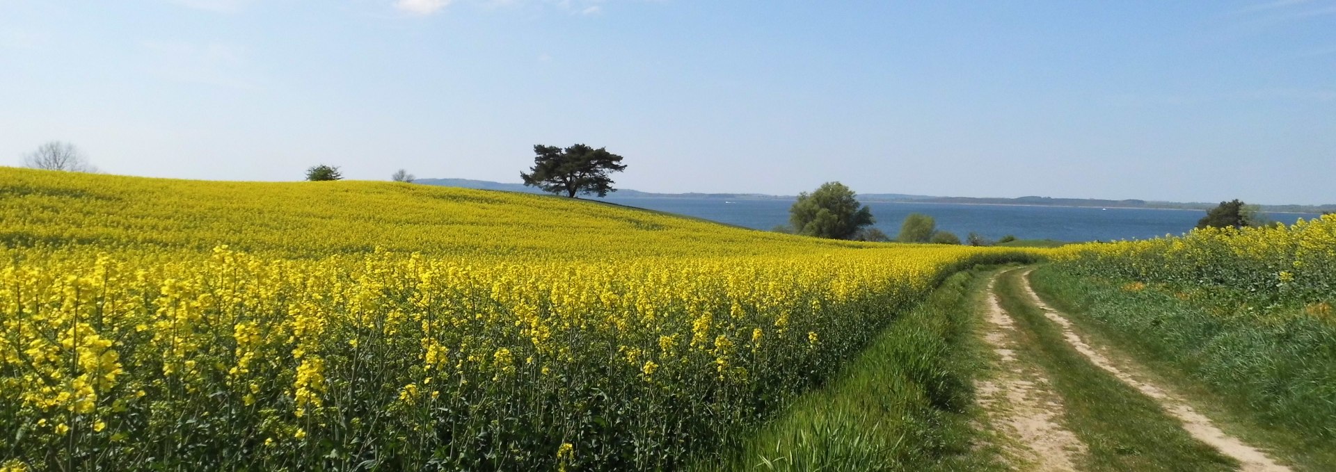 offene Landschaft, © Groh