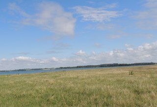 Blick über die Salzwiesen in Gollwitz, © Kurverwaltung Insel Poel