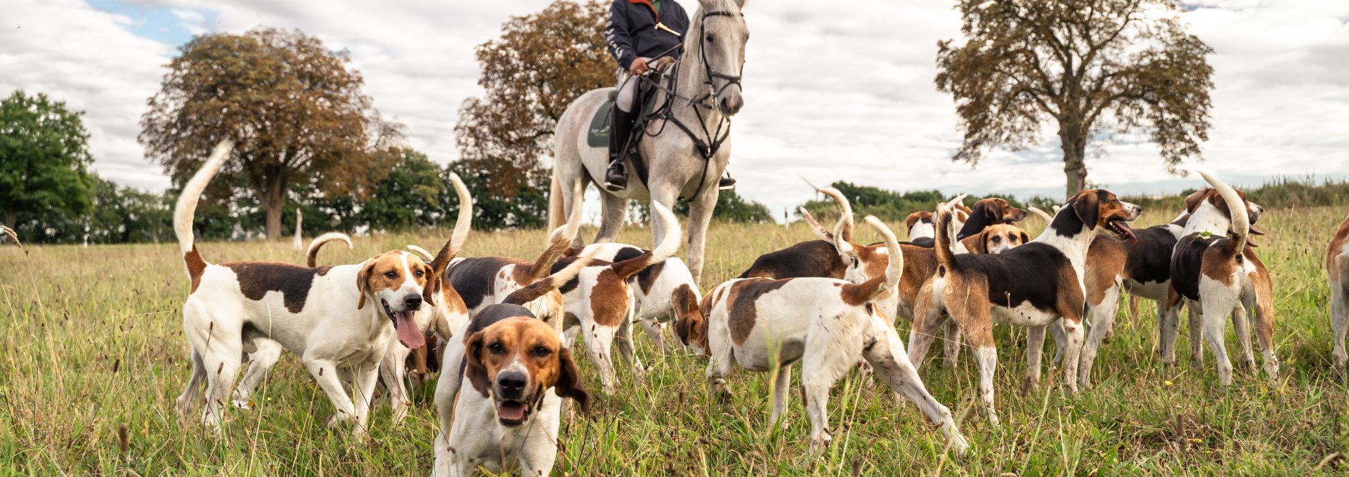 Zur Reitjagd mit Pferd und Hund, © TMV/herzenspferd.de