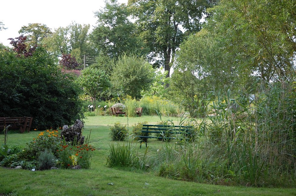 Der Schaugarten zeigt etwa 150 Bienenweidepflanzen., © Gabriele Skorupski