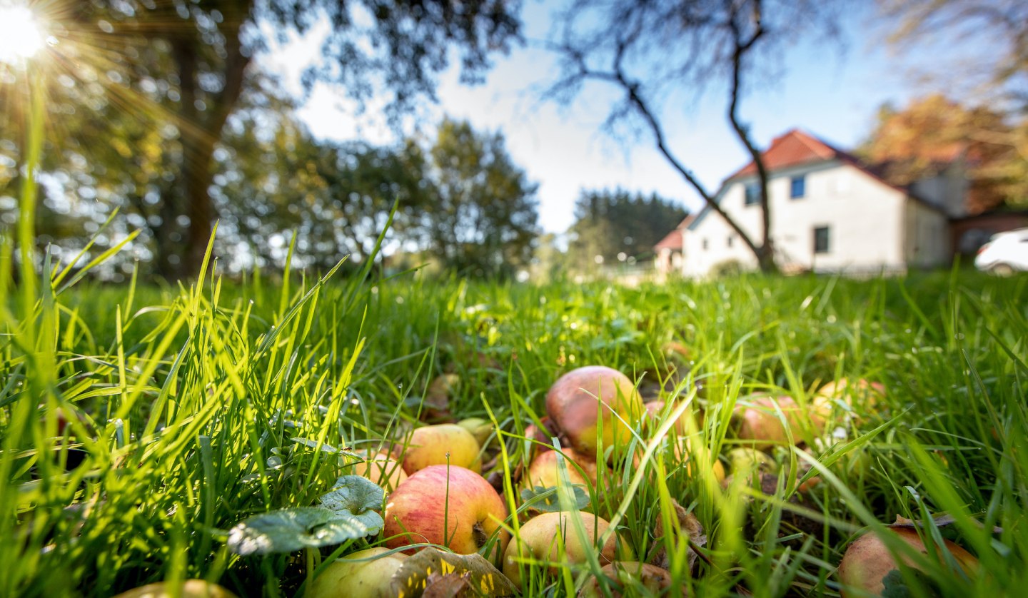 Streuobstwiese im Herrenhaus, © Florian Foest