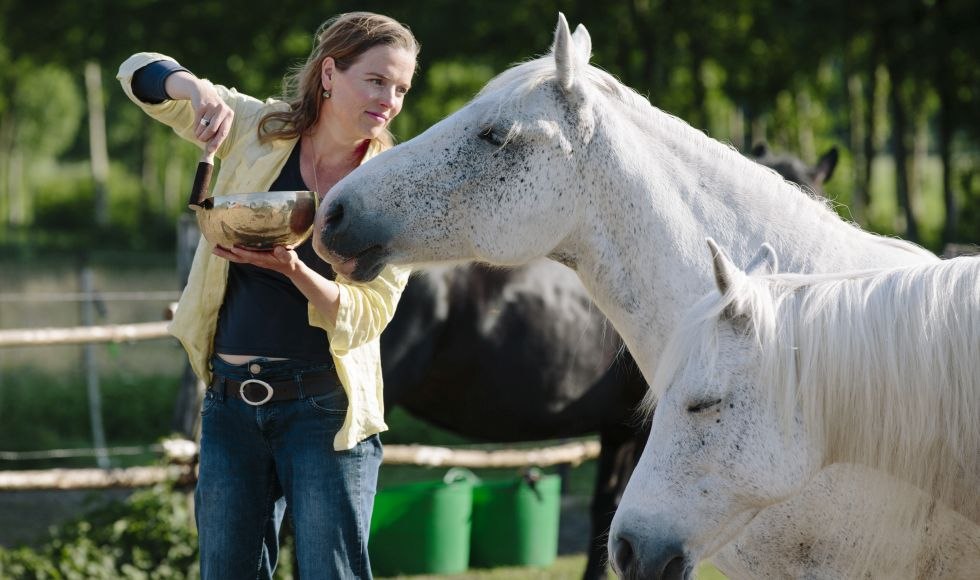 Sabine Schnabel - KLANG FÜR PFERDE: Jedes Pferd nimmt sich, was es braucht - allein oder in der Herde…, © Anika Büssemeier