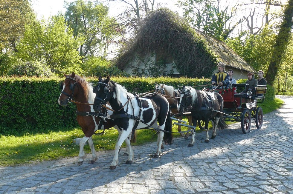 idyllische Ausfahrt mit dem Kremser, © Ponyhof Rügen