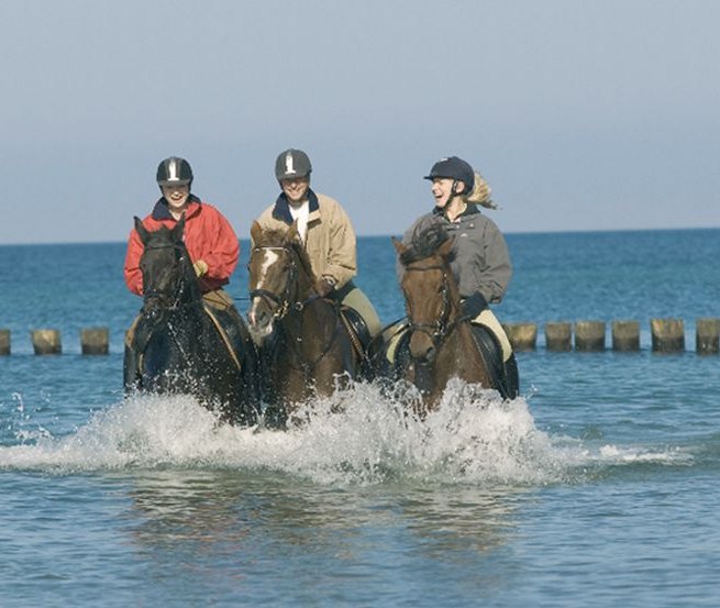 Ein erfrischender Ausritt durch die Ostsee stärkt Reiter- und Pferdegesundheit gleichermaßen., © Reitstall Stuthof