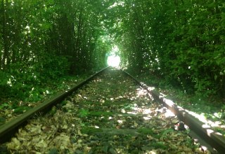 Einfahrt in den ca. 1km langen Buchentunnel, © Naturpark Draisine Dargun