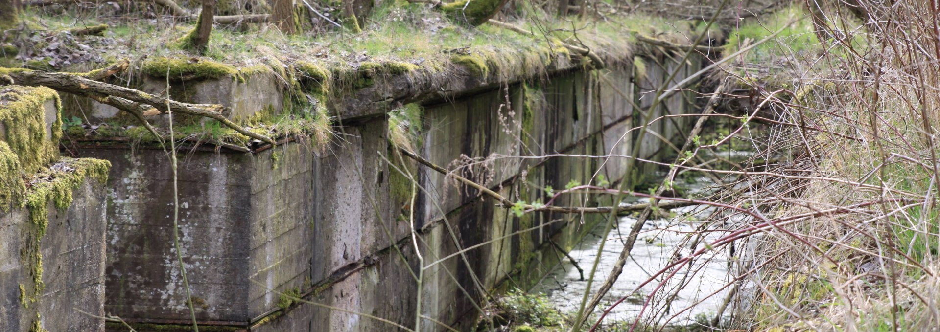 Ruine der ehemaligen Hydrierwerke, © Pomorze Zachodnie