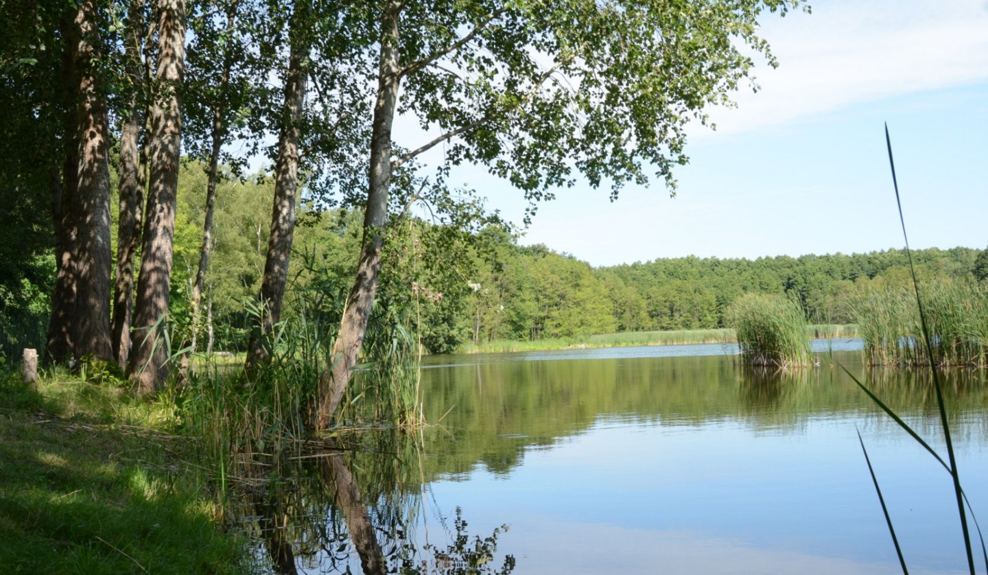 Karpfenteiche bei Voigtsdorf, © Tourismusverband Mecklenburg-Schwerin