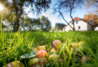 Streuobstwiese im Herrenhaus, © Florian Foest