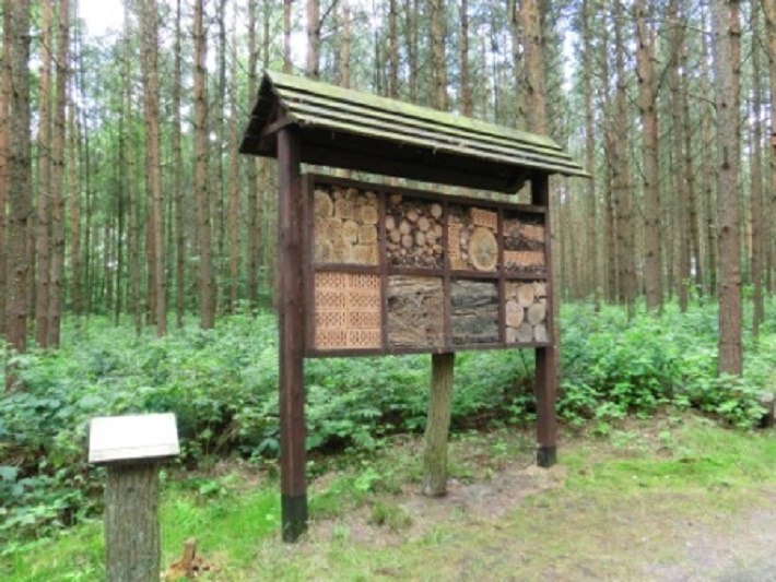 Insektenhotel im Wald der Sinne, © Baltzer