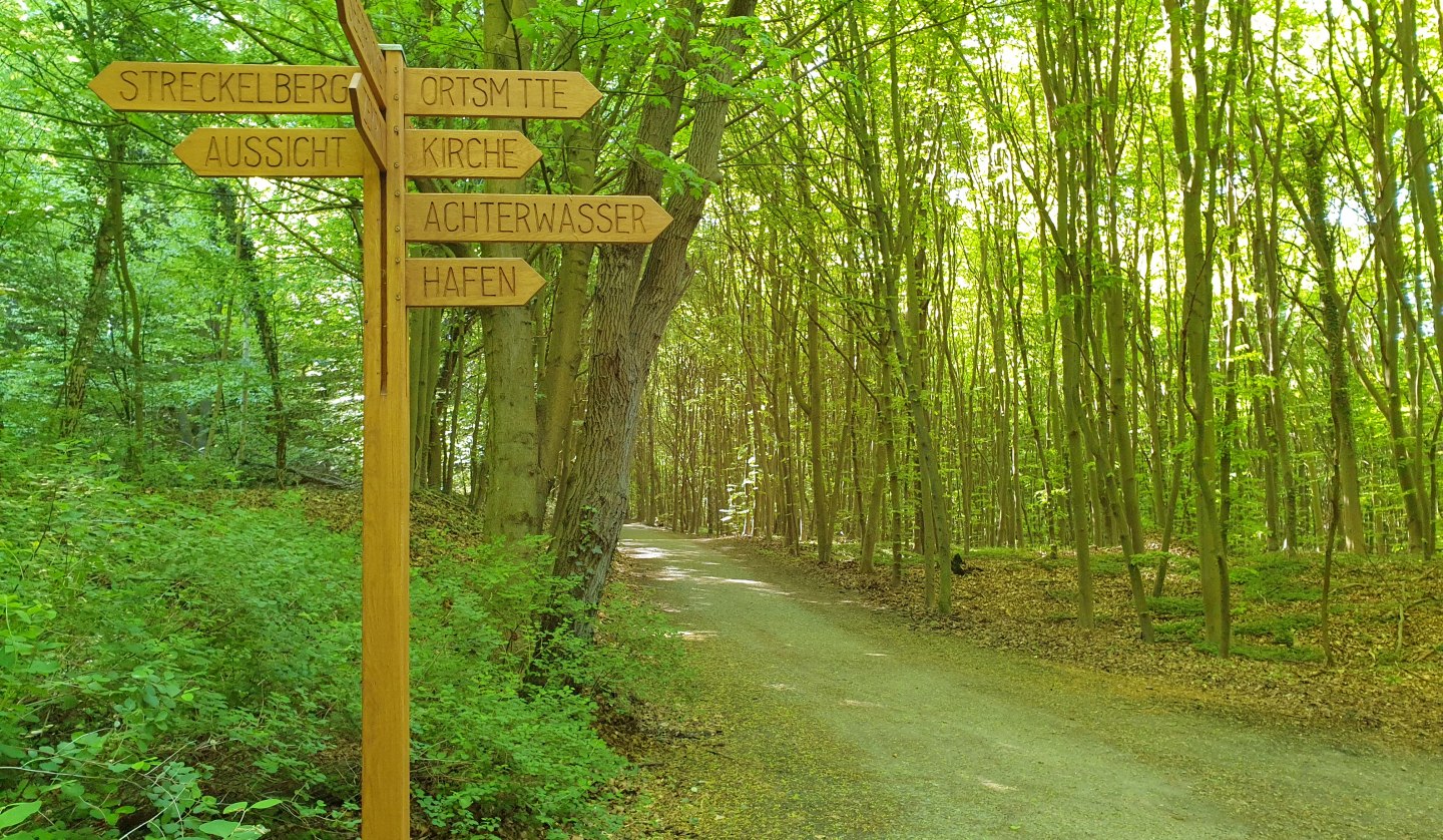 Waldbaden mit Ina Truhöl, © 6 Juni.jpg