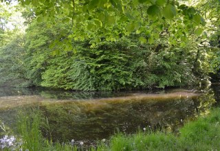 Ein kreisförmiger Turmhügel ist erkennbar., © Lutz Werner