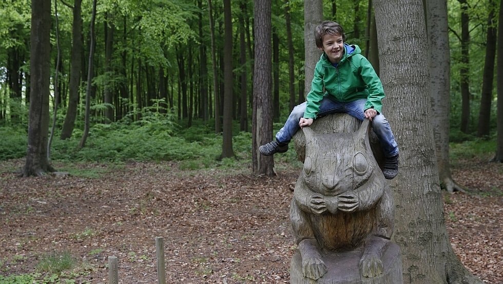 Das "Grüne Klassenzimmer", © TMV/outdoor-visions.com