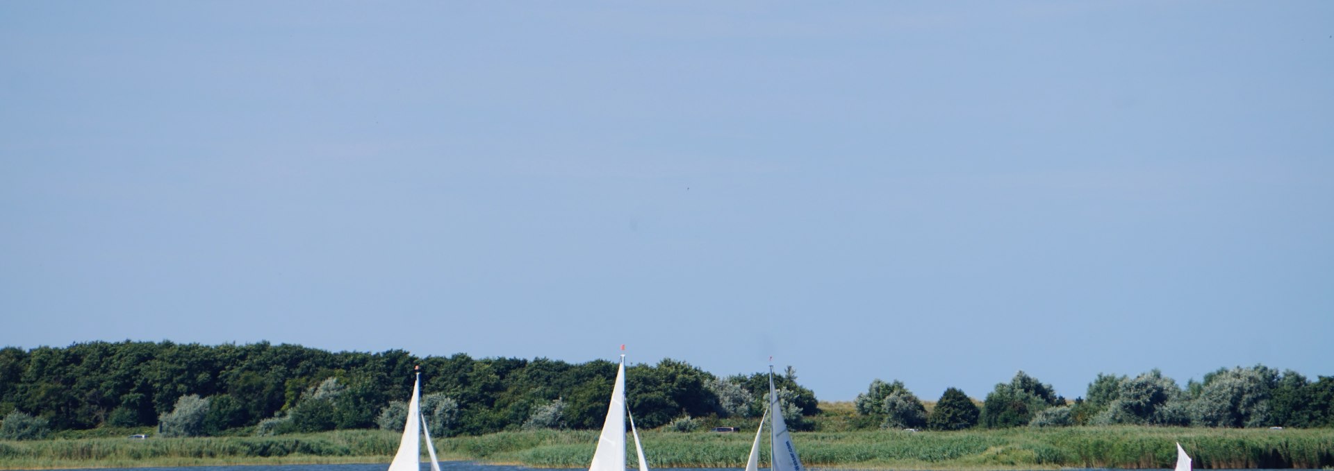 Fischländer Segelschule, © Cindy Wohlrab / KVW Wustrow