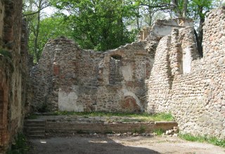 Umgeben von hohen Eichen ein verwunschener Platz im Landgrabenthal, © Angelika Michaelis