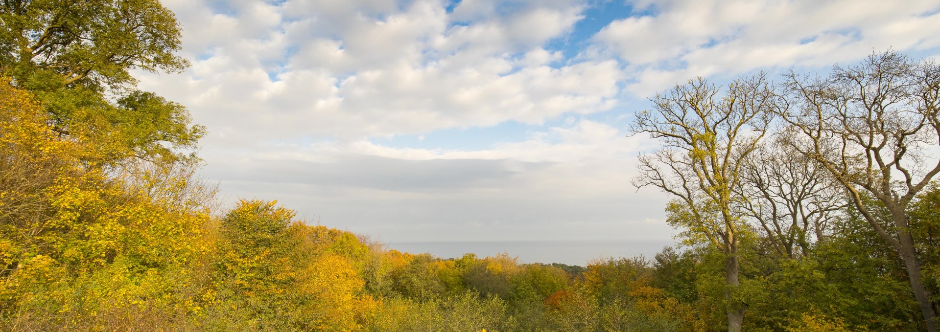 Gemuetlicher Herbstspaziergang (c) Kuverwaltung Goehren  Martin Stoever 2016 _P5I5205, © Kurverwaltung Goehren / Martin Stoever