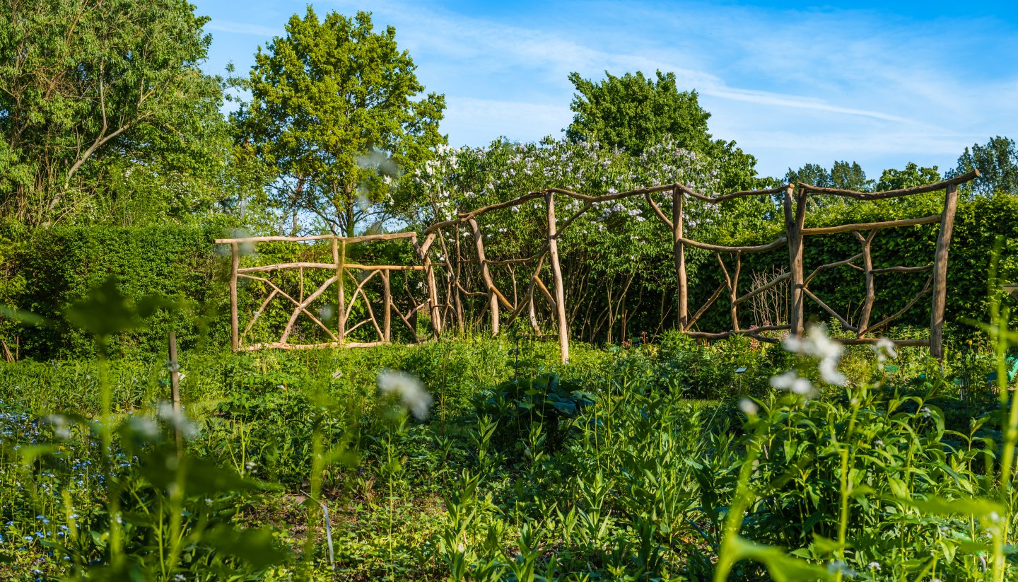 Wer aufmerksam ist, kann im Wangeliner Garten ganz schön viel entdecken: Kunstinstallationen, heimische Blütenpflanzen und Insektenhotels zum Beispiel., © TMV/Tiemann