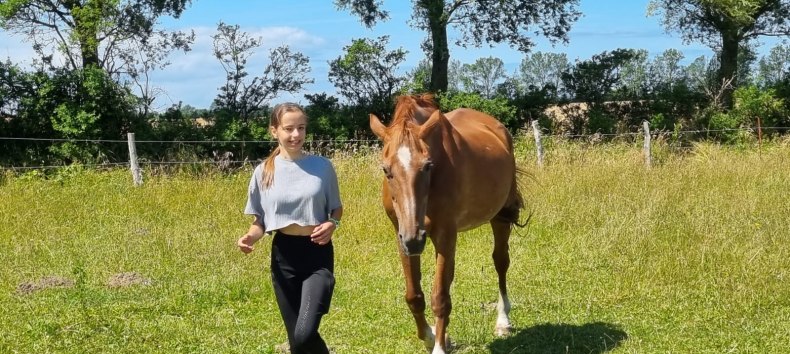 Mit Pferd im freien Spiel, © Ines Treuger