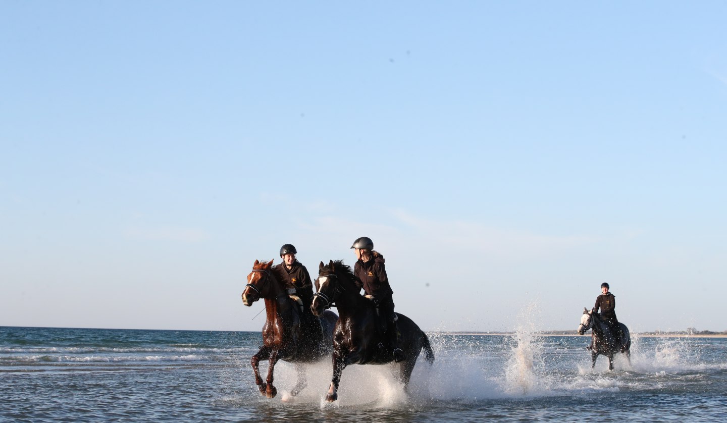 Reiten am Strand, © TMV/ACP Pantel