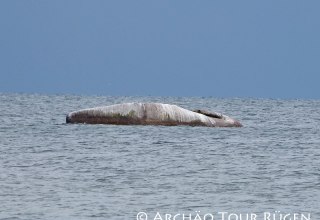 mitten in der Ostse liegt der "Buhskam", © Archäo Tour Rügen